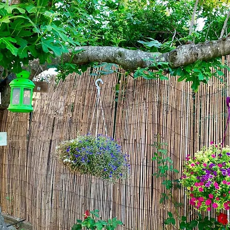Valentino Apartmán Pompei