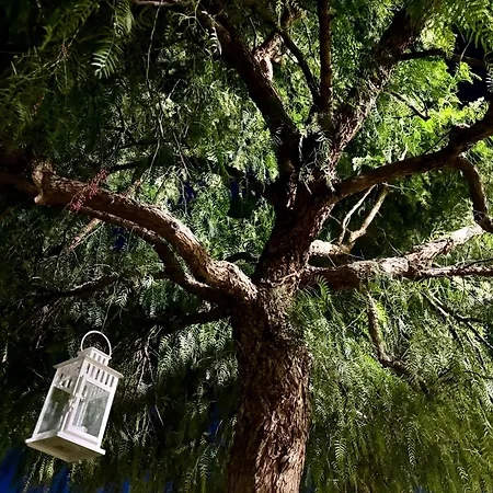 Valentino Apartamento