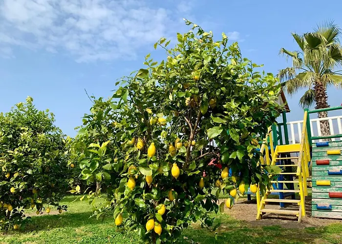 Appartement Valentino Pompéi